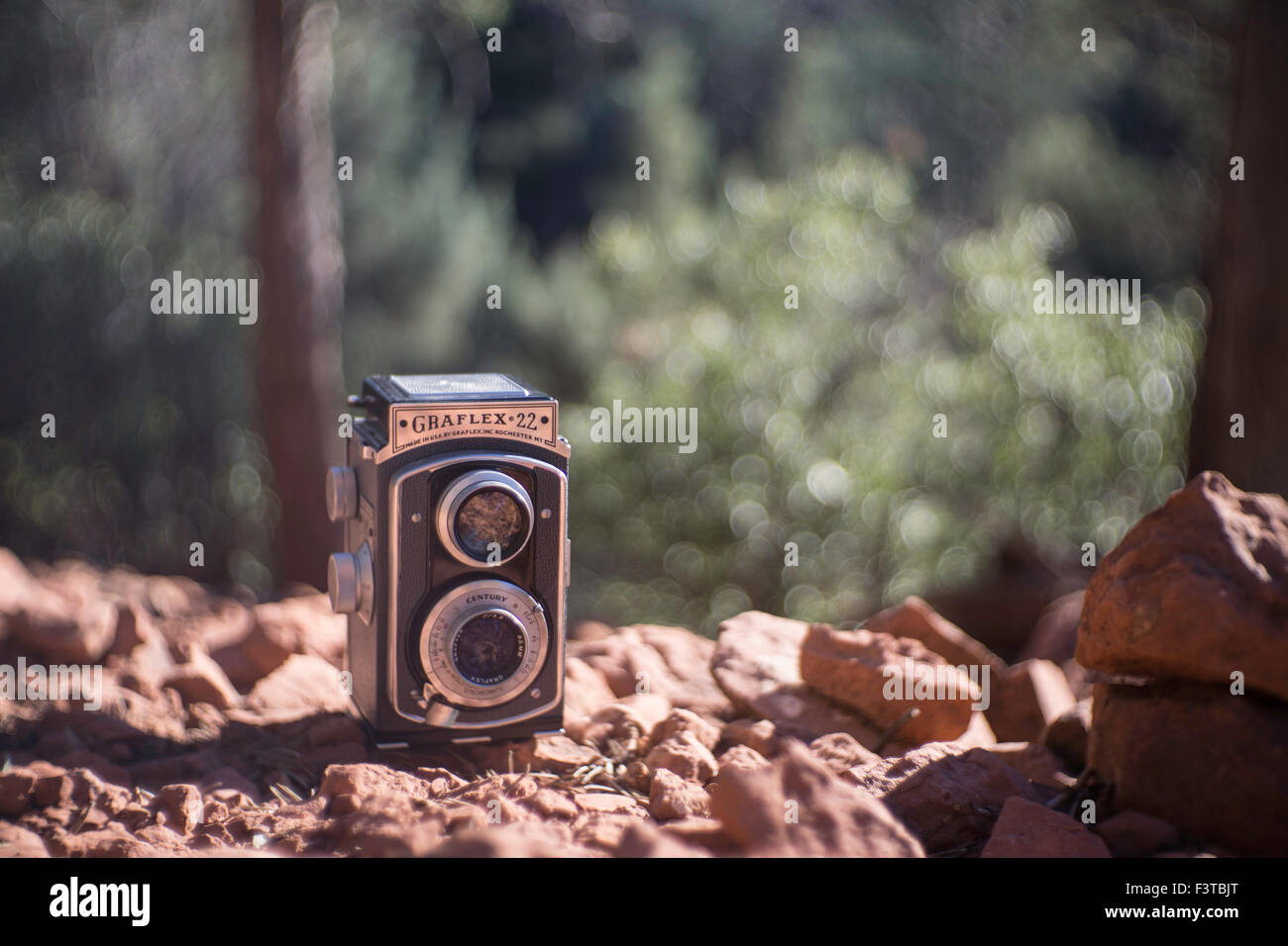Telemetro fotocamera nella foresta Foto Stock