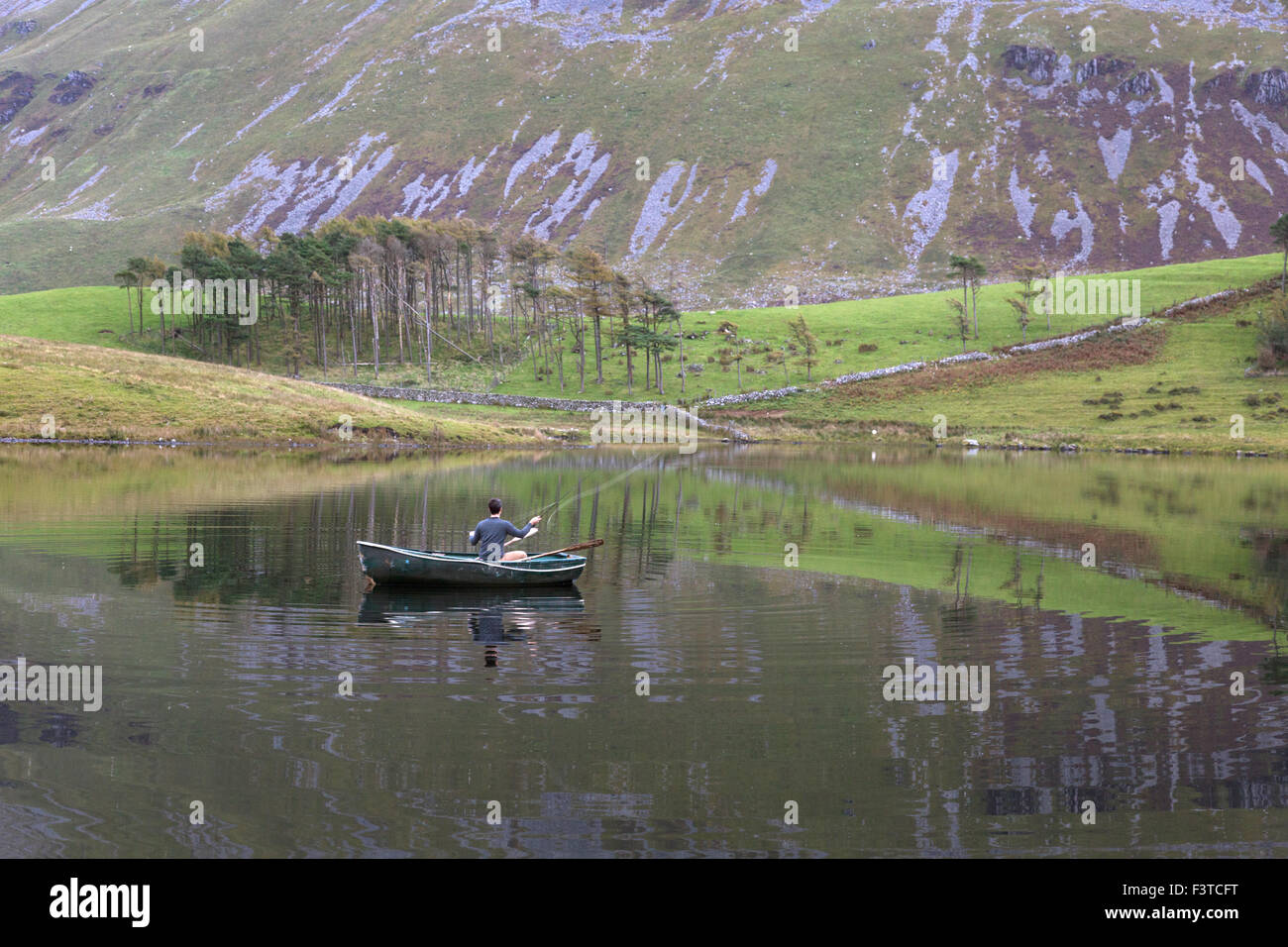 La pesca a mosca sul Cregennan laghi, Gwynedd, Snowdonia National Park, North Wales, Regno Unito Foto Stock