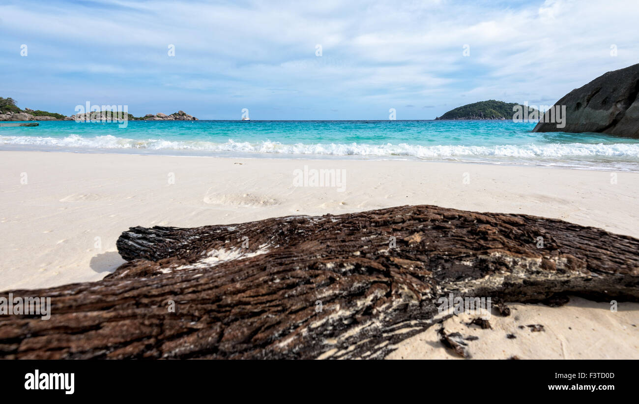 Vecchio driftwood blu del mare di sabbia bianca e onde sulla spiaggia, bella natura durante il periodo estivo a Koh Miang isola in Mu Ko Similan Foto Stock