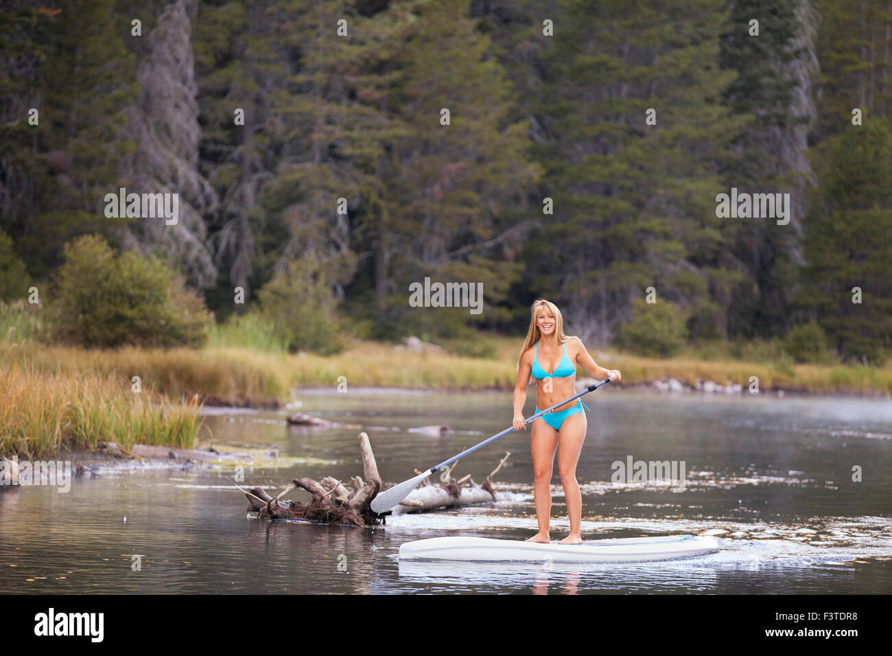 Una giovane donna su usando una racchetta di bordo su un piccolo fiume e nel bel mezzo di una foresta nelle montagne del nord della California Foto Stock