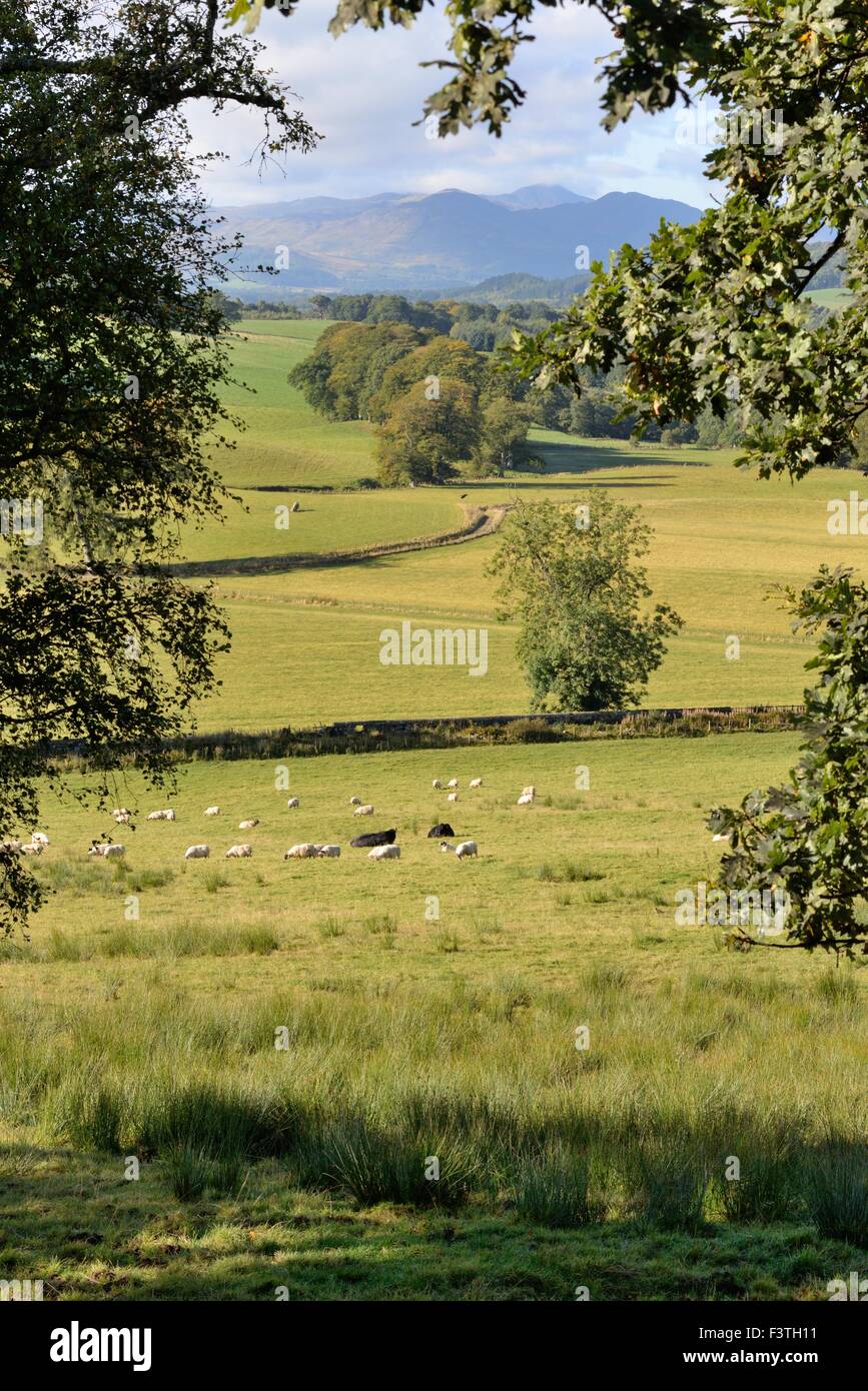 Vista su terreni agricoli in Perthshire Scozia, Regno Unito Foto Stock