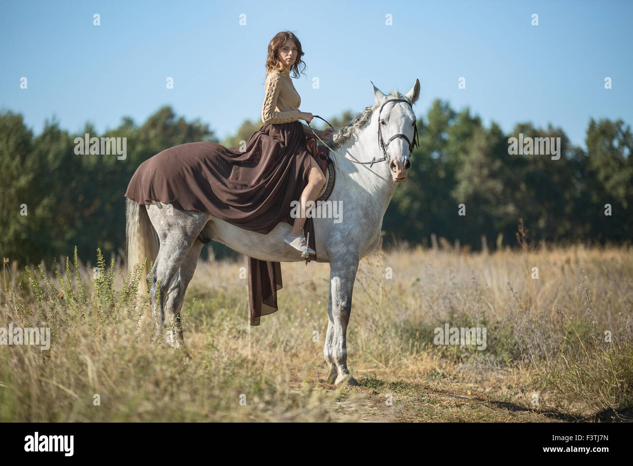 Bella ragazza a cavallo Foto Stock