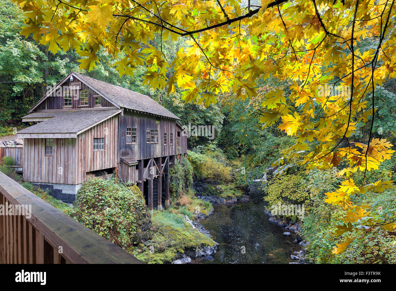 Il Cedar Creek Grist Mill con gigantesco albero di Acero foglie durante la stagione autunnale Foto Stock