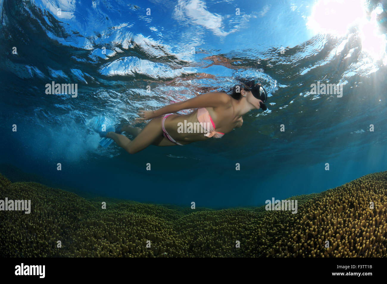 Giovane bella donna galleggia sulla superficie dell'acqua oltre la barriera corallina, Oceano Indiano, Maldive Foto Stock