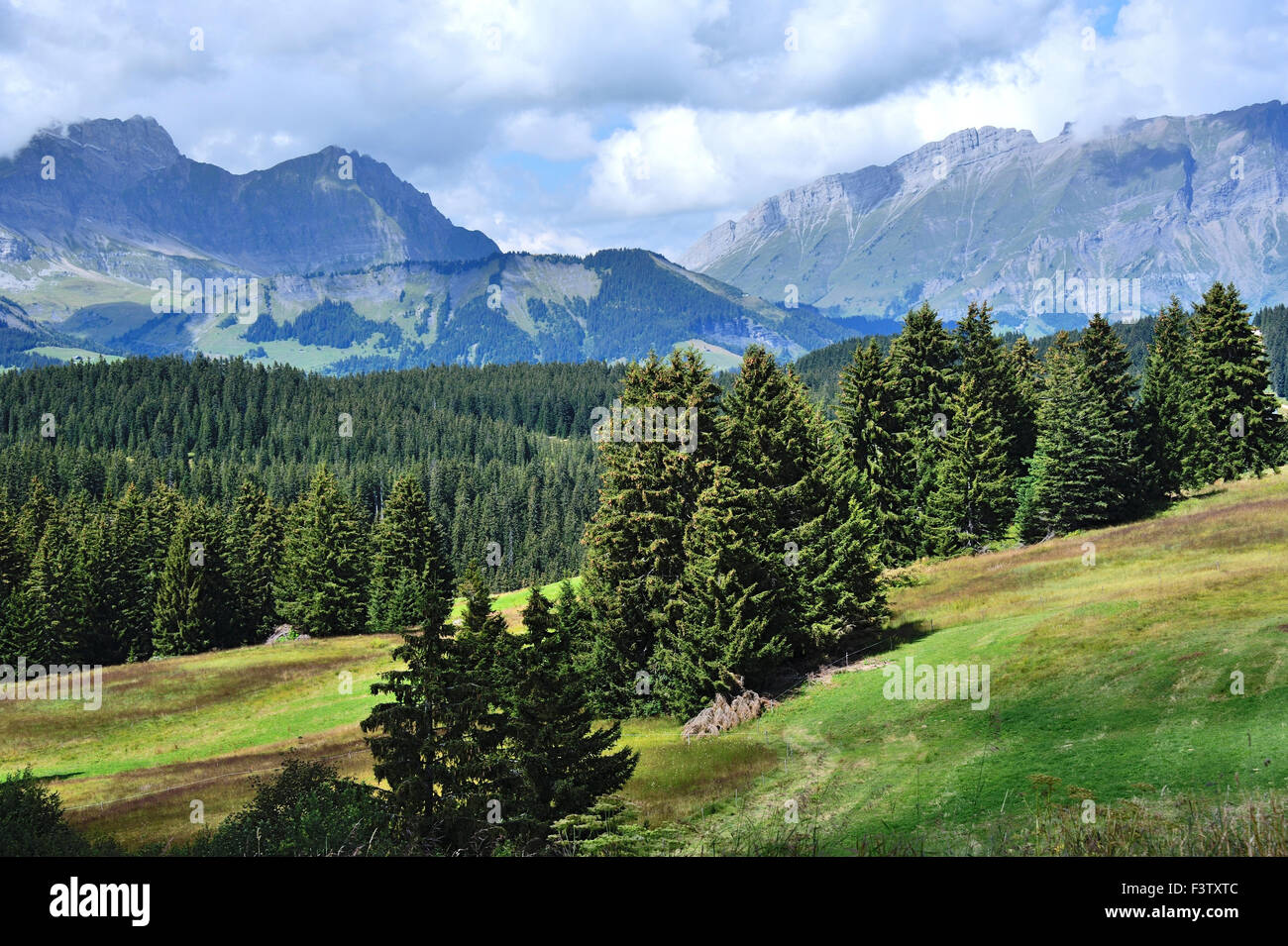 Vista la Chaine des Aravis al Col des Saisies, pass della Route des Grandes Alpes, sulle Alpi francesi, Francia Foto Stock