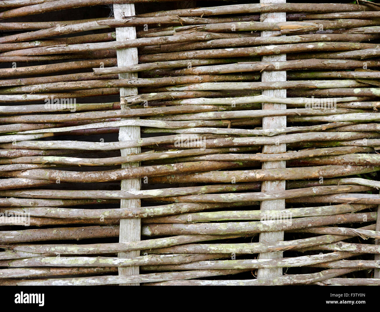 Parete di bargiglio costituito dalla tessitura cedevole Hazel Wood intorno a montanti. Questo è stato spesso ricoperte da una argilla/paglia/sterco intonaco chiamato daub. Foto Stock