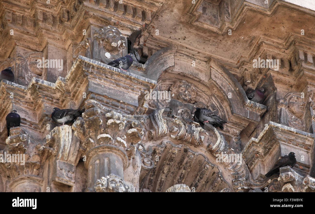 Le colombe sulla chiesa di San Francisco a Lima Foto Stock