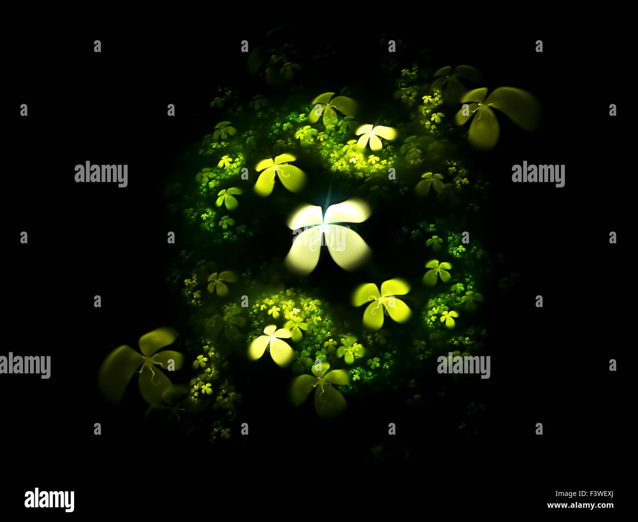 Quattro leafed clover su nero Foto Stock
