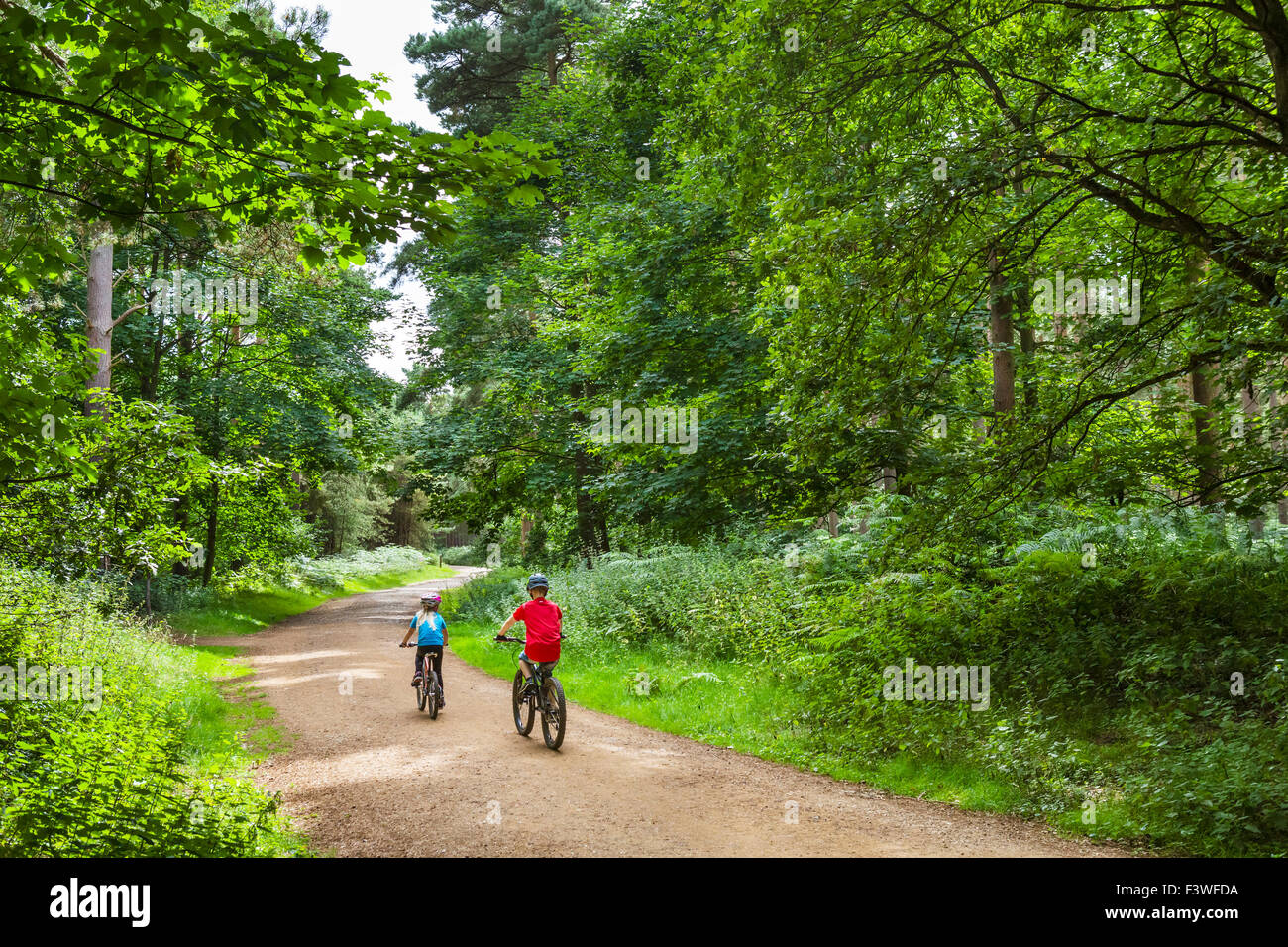 I bambini in bicicletta attraverso Thetford Forest, Norfolk, Inghilterra, Regno Unito Foto Stock