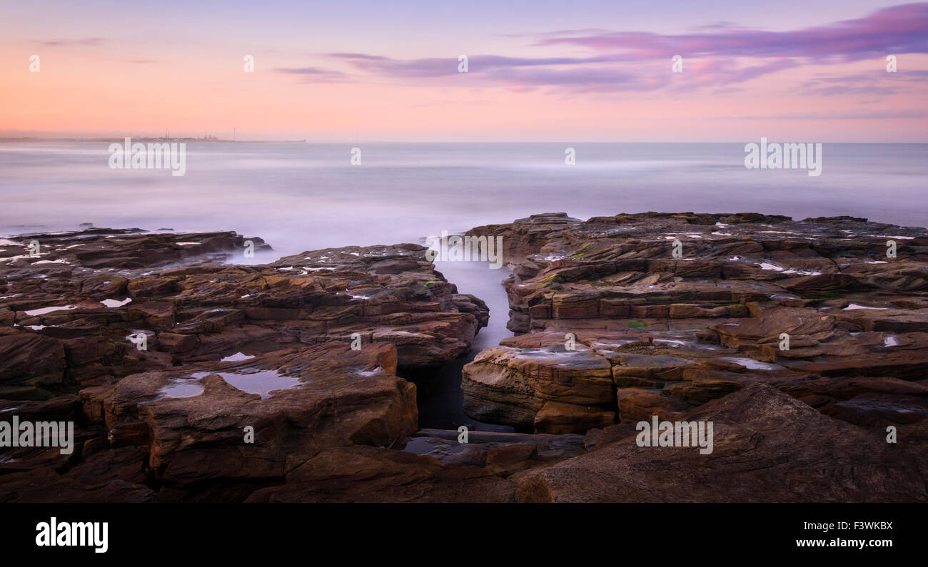 Rocce costiere a Seaton Sluice Foto Stock
