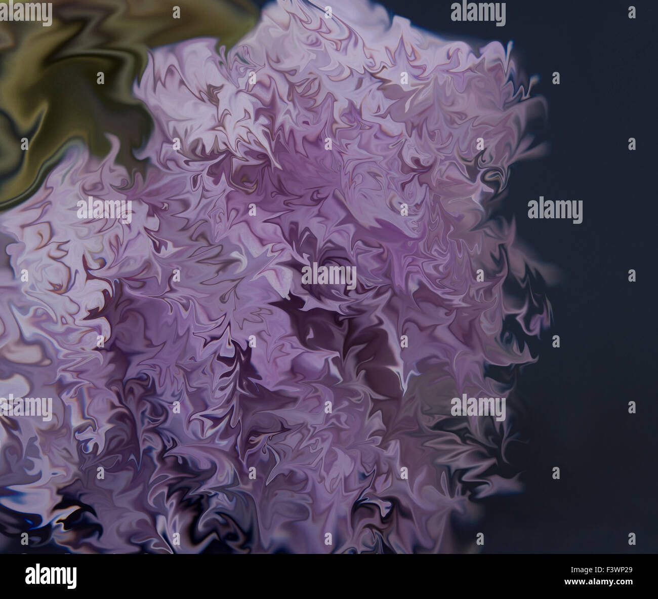 Immagine astratta basata su un manipolato fotografia digitale di una pianta di erba cipollina Foto Stock