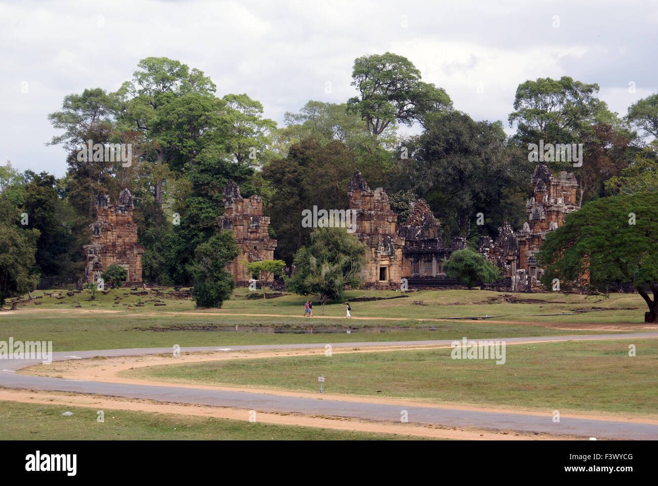 Campo verde Foto Stock