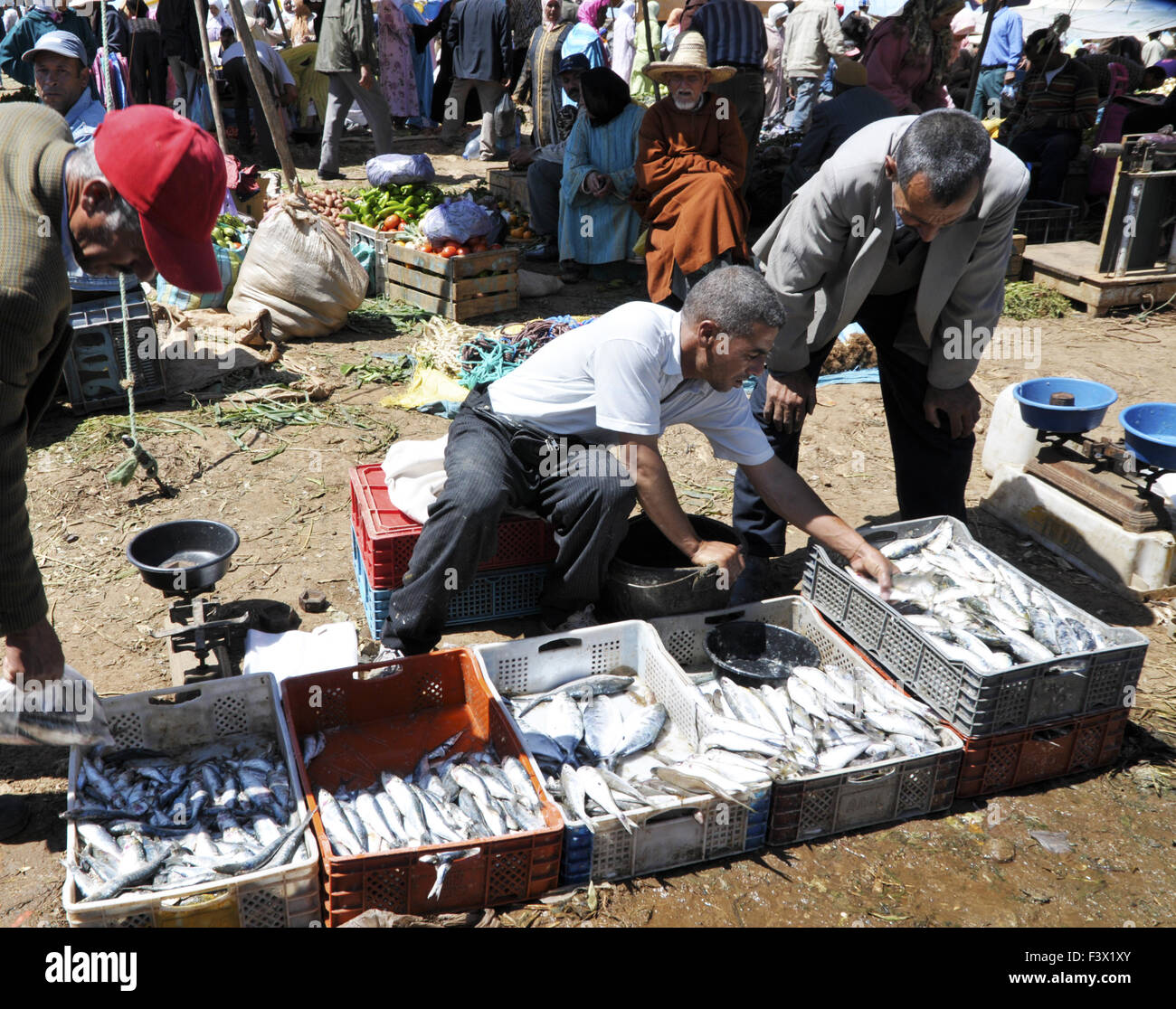 Pesce marocchino, venditori sul mercato Foto Stock