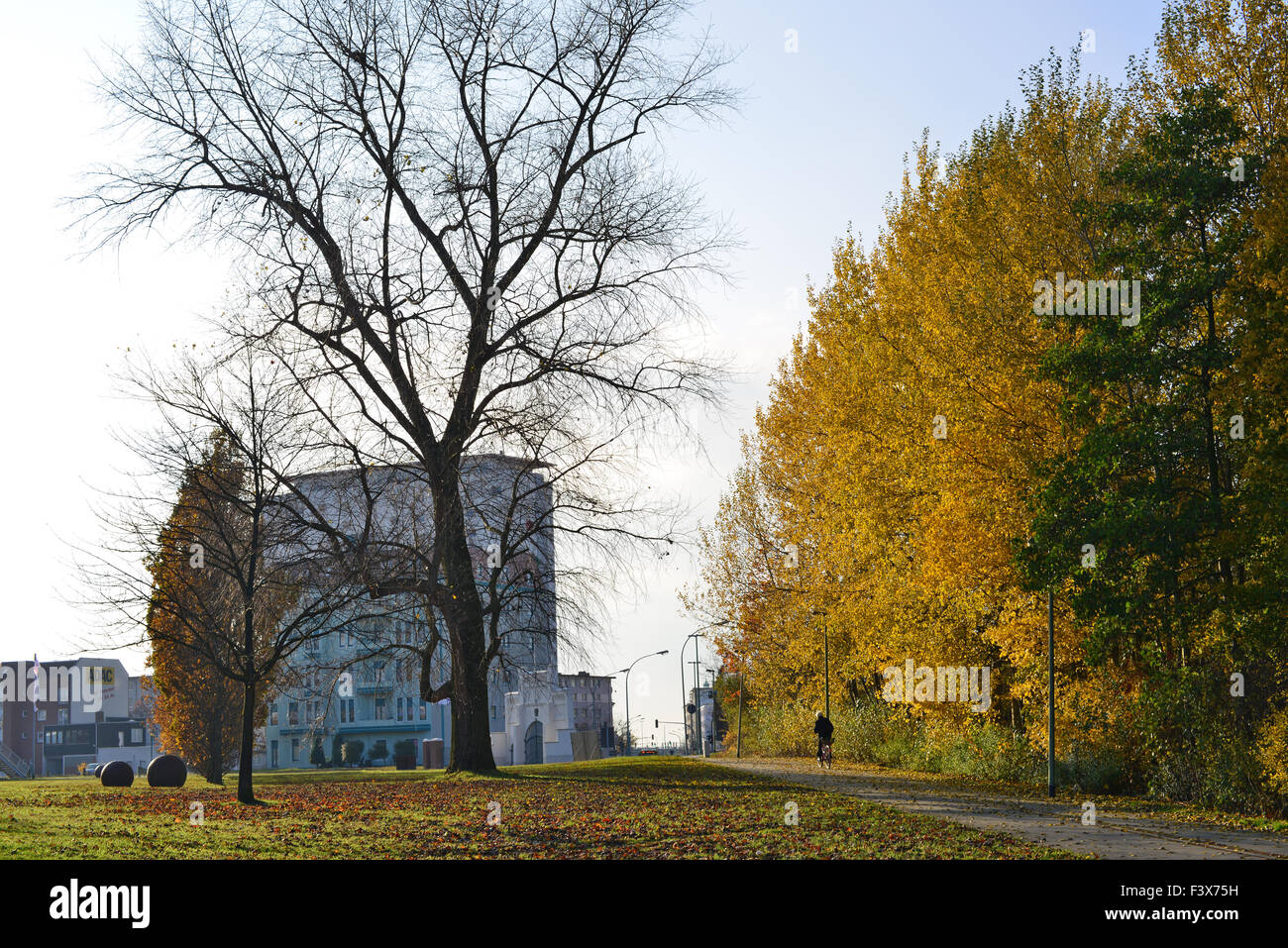 Tardo autunno Foto Stock