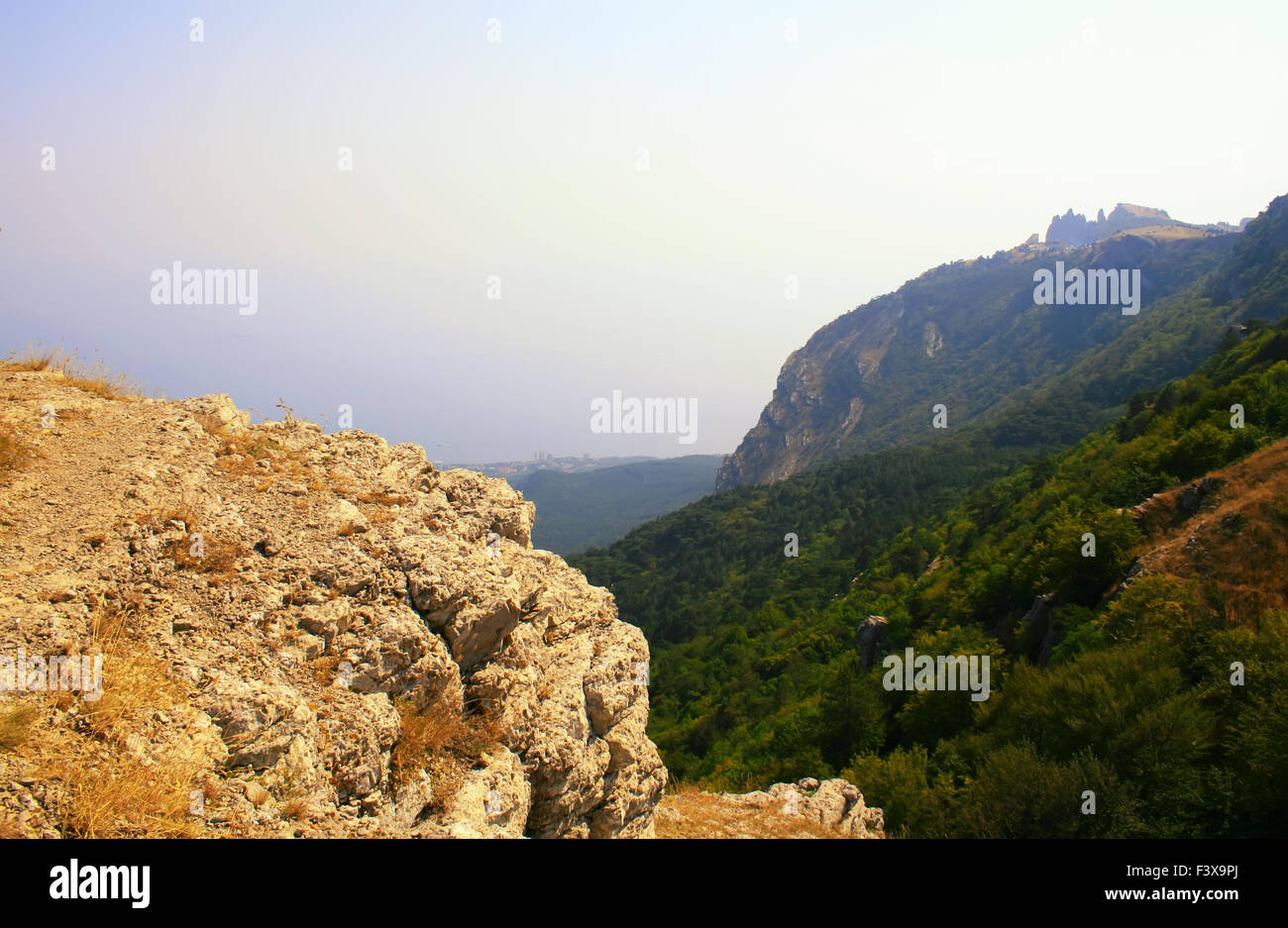Cima della montagna con il verde bosco sopra Foto Stock