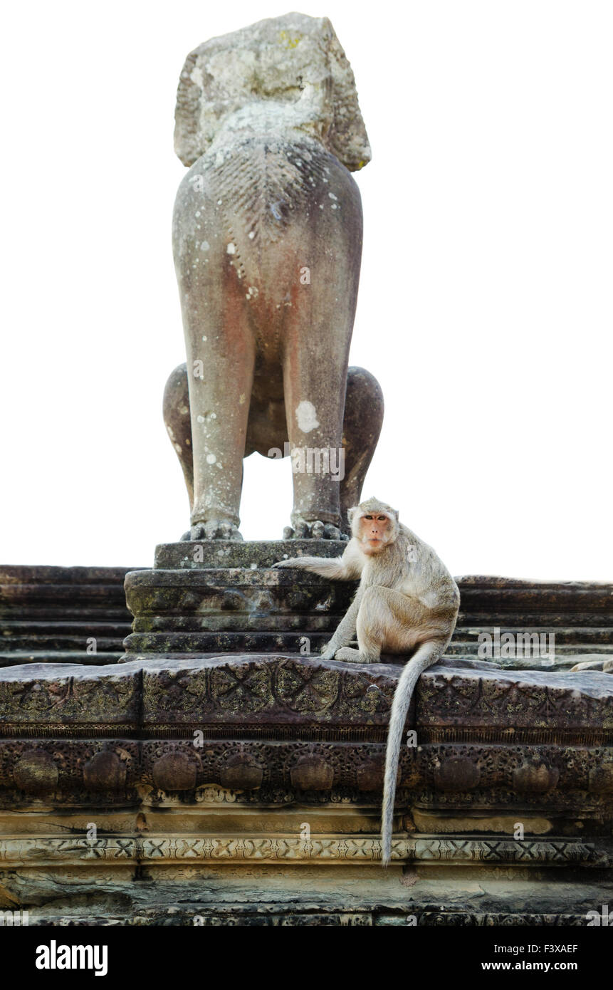 Monkey Statue in Angkor con marmoset Foto Stock