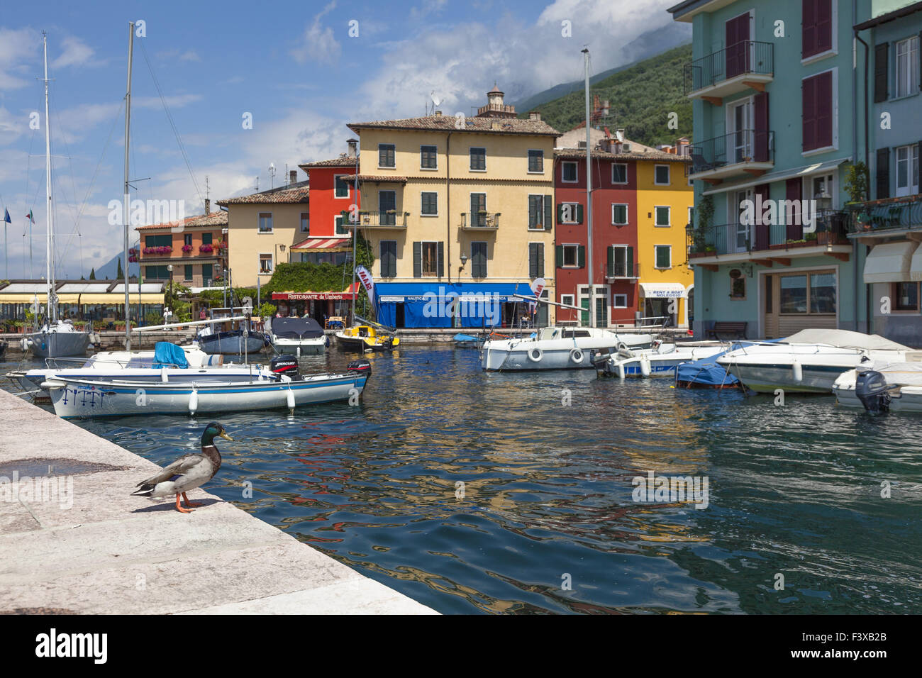 Castello sul lago di garda Foto Stock