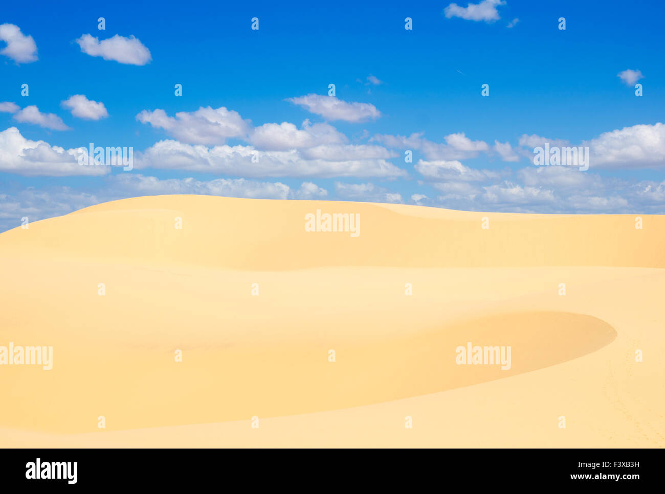 sabbia del deserto Foto Stock