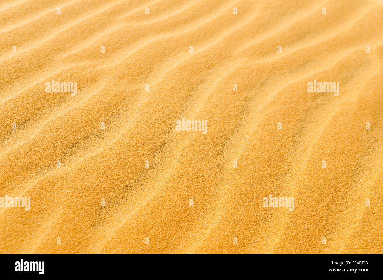 Spiaggia di sabbia Foto Stock
