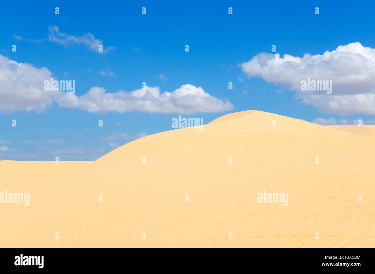 Sabbia dune del deserto Foto Stock