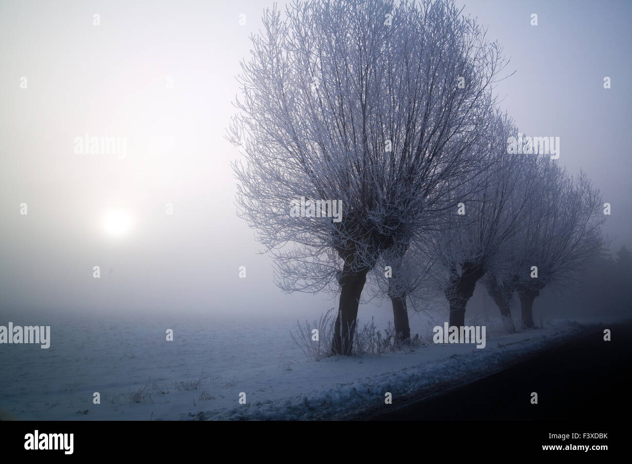 Paesaggio di inverno al sole di mattina congelati Foto Stock