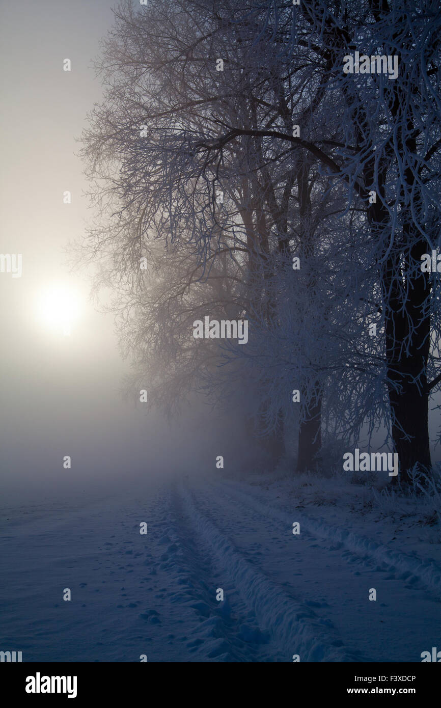 Paesaggio di inverno al sole di mattina congelati Foto Stock