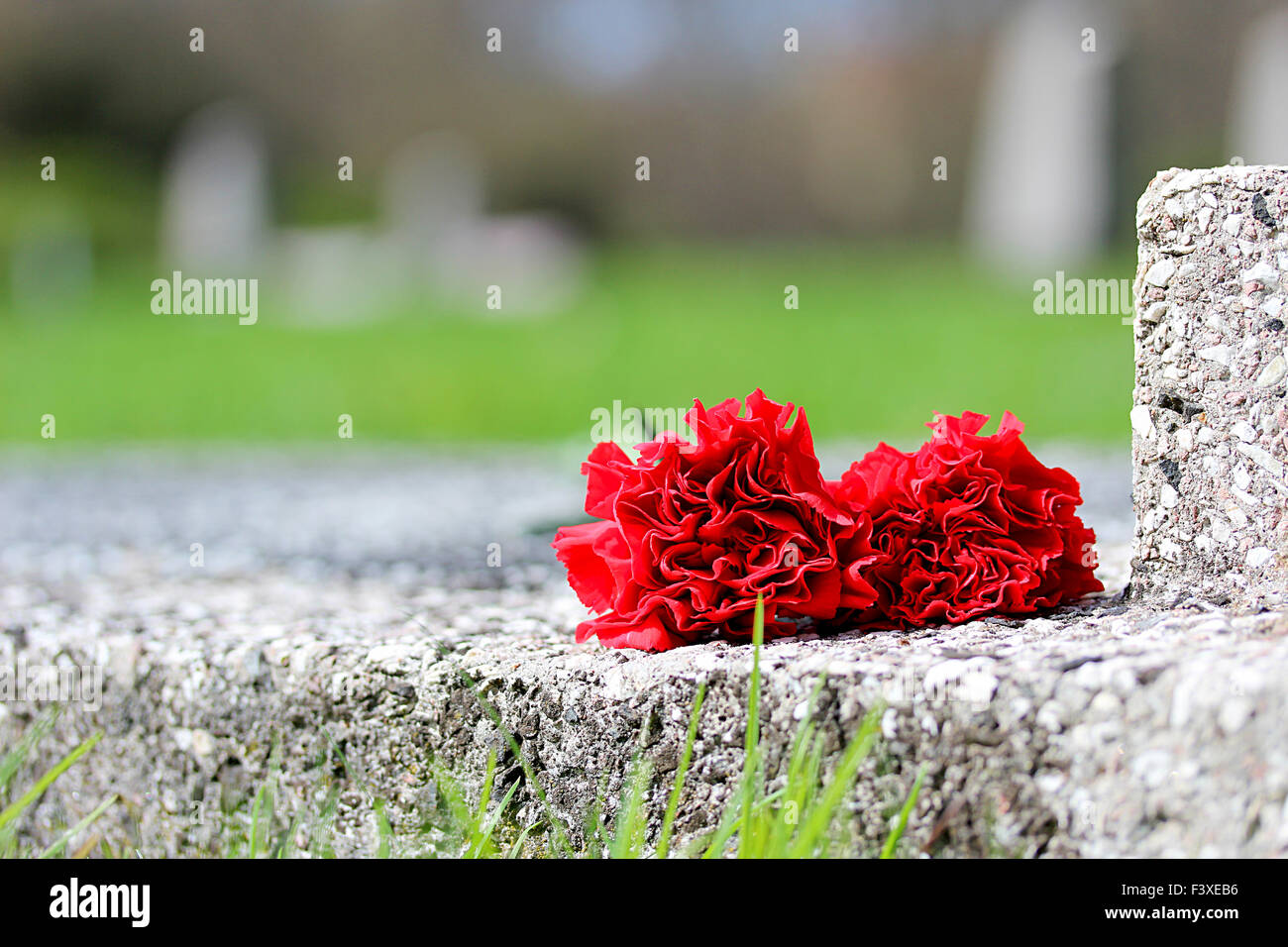 Memoriale di guerra in seelow Foto Stock