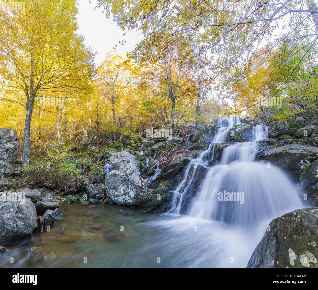 Cava Scura rientra nel Parco Nazionale di Shenandoah Foto Stock