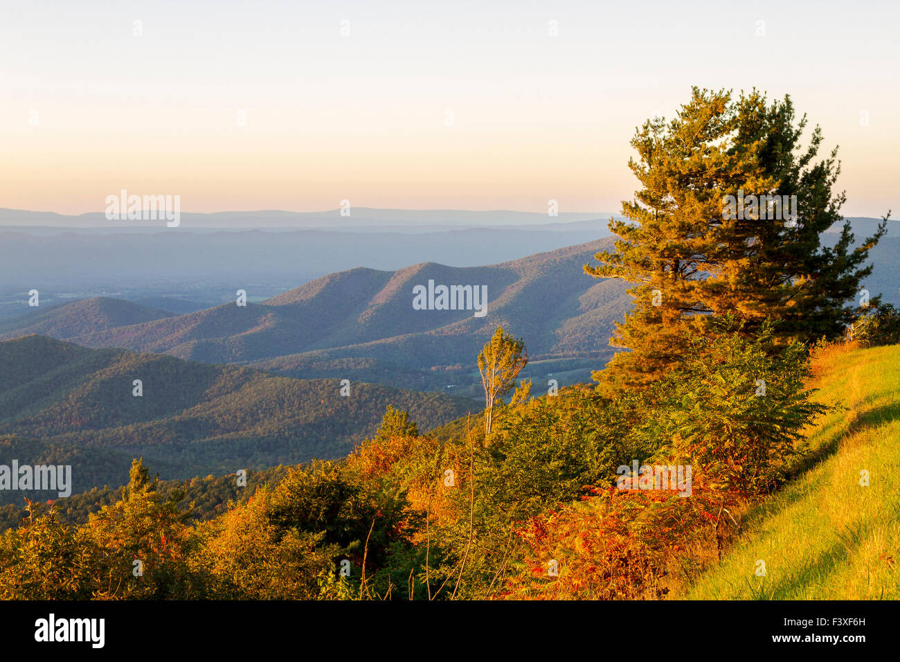 Luce della Sera sulla Shenandoah Valley Foto Stock