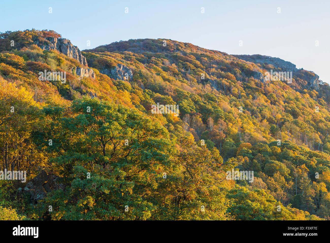 I colori autunnali nel Parco Nazionale di Shenandoah Foto Stock
