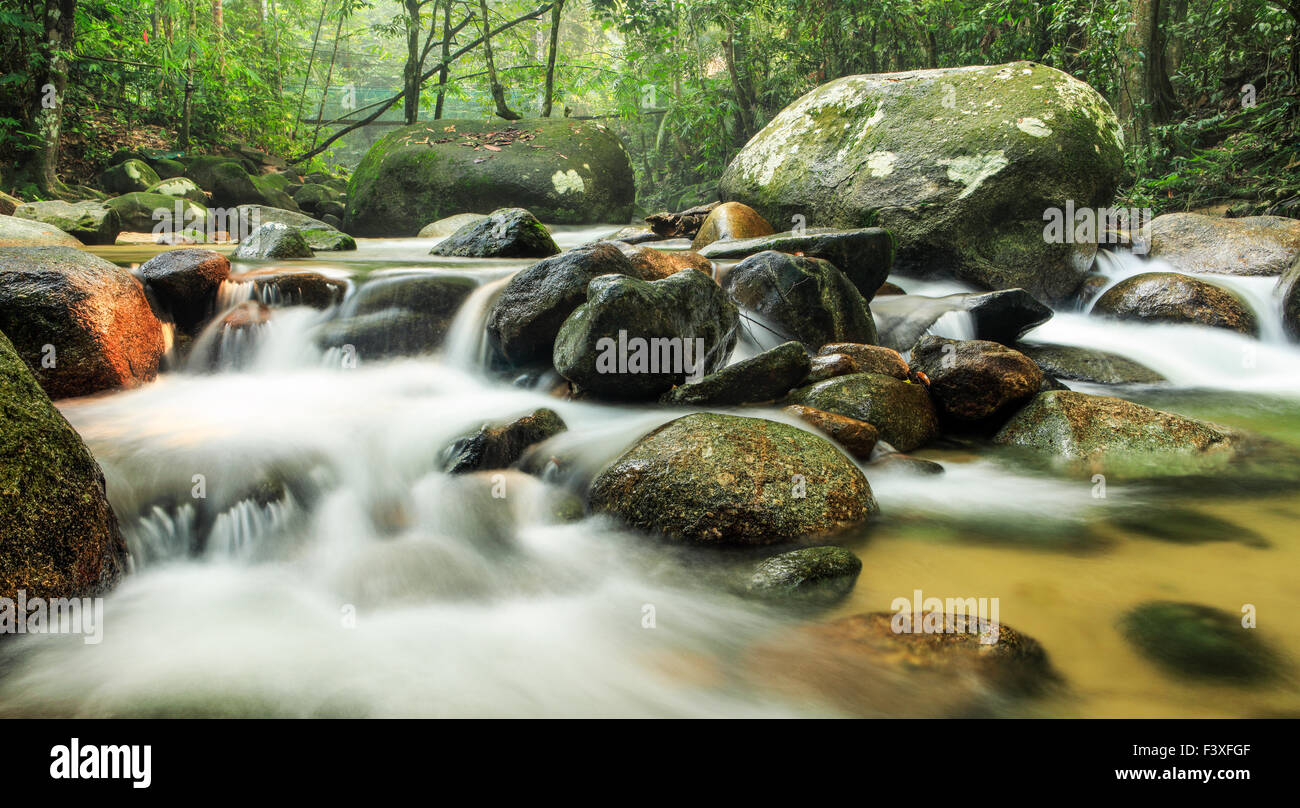 I flussi di Sungai Tua, Selayang, Malaysia. Foto Stock