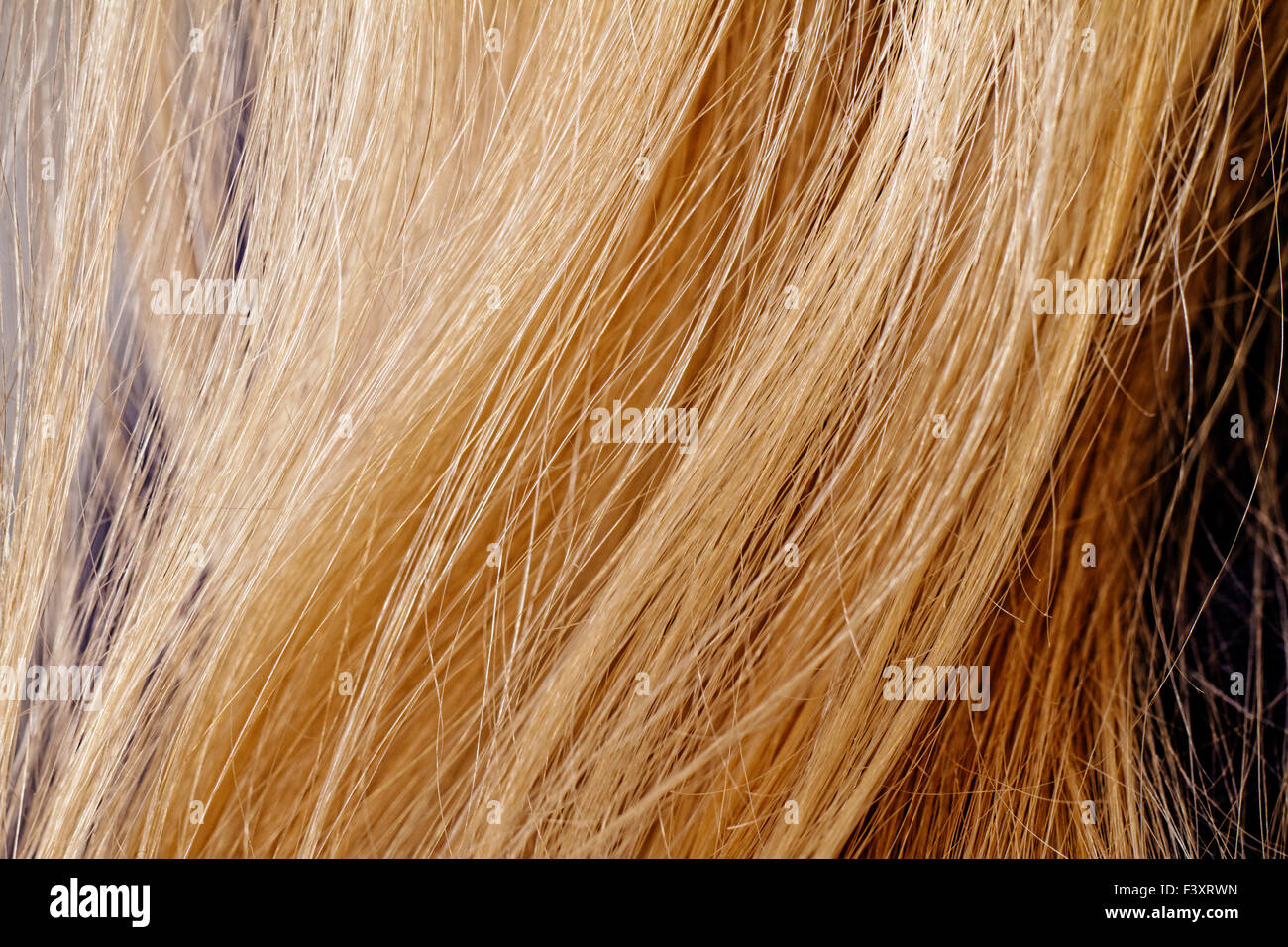 Lunghi capelli biondi come sfondo Foto Stock