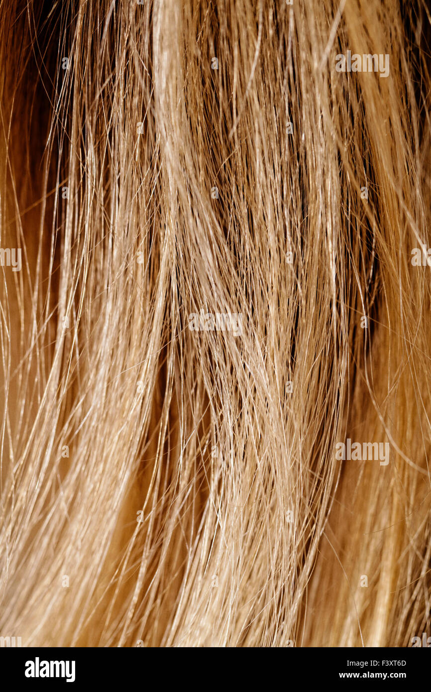 Lunghi capelli biondi come sfondo Foto Stock