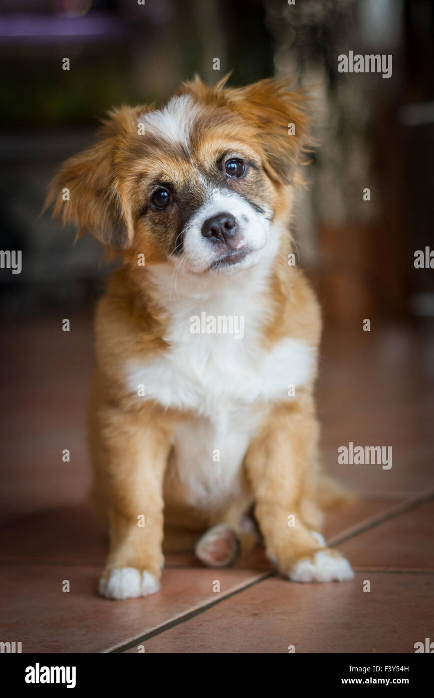 Viste oblique Foto Stock