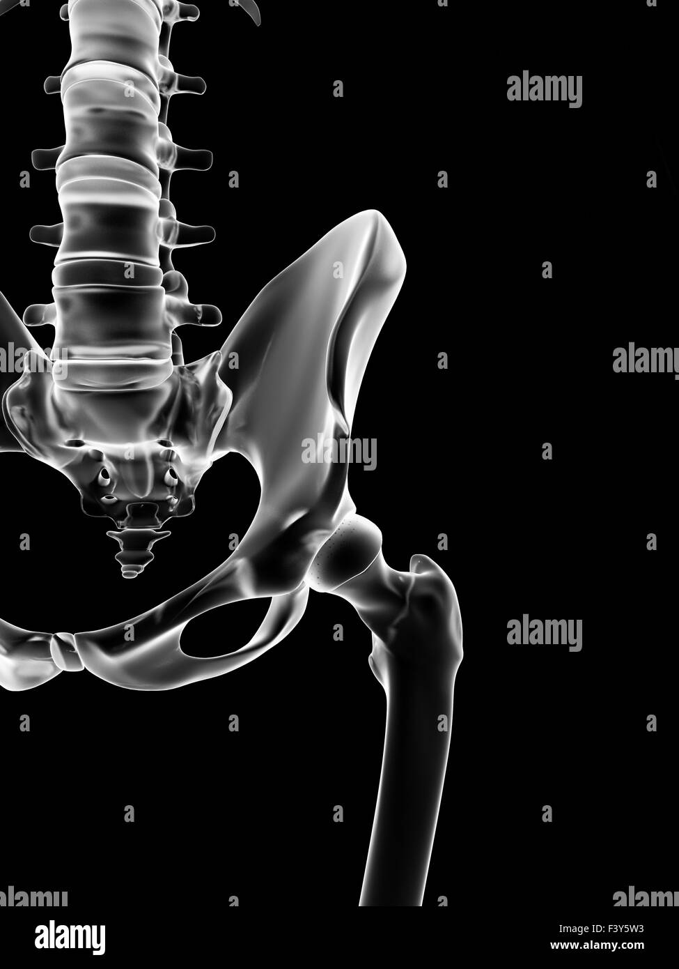 Illustrazione medica dell'anca scheletrico Foto Stock