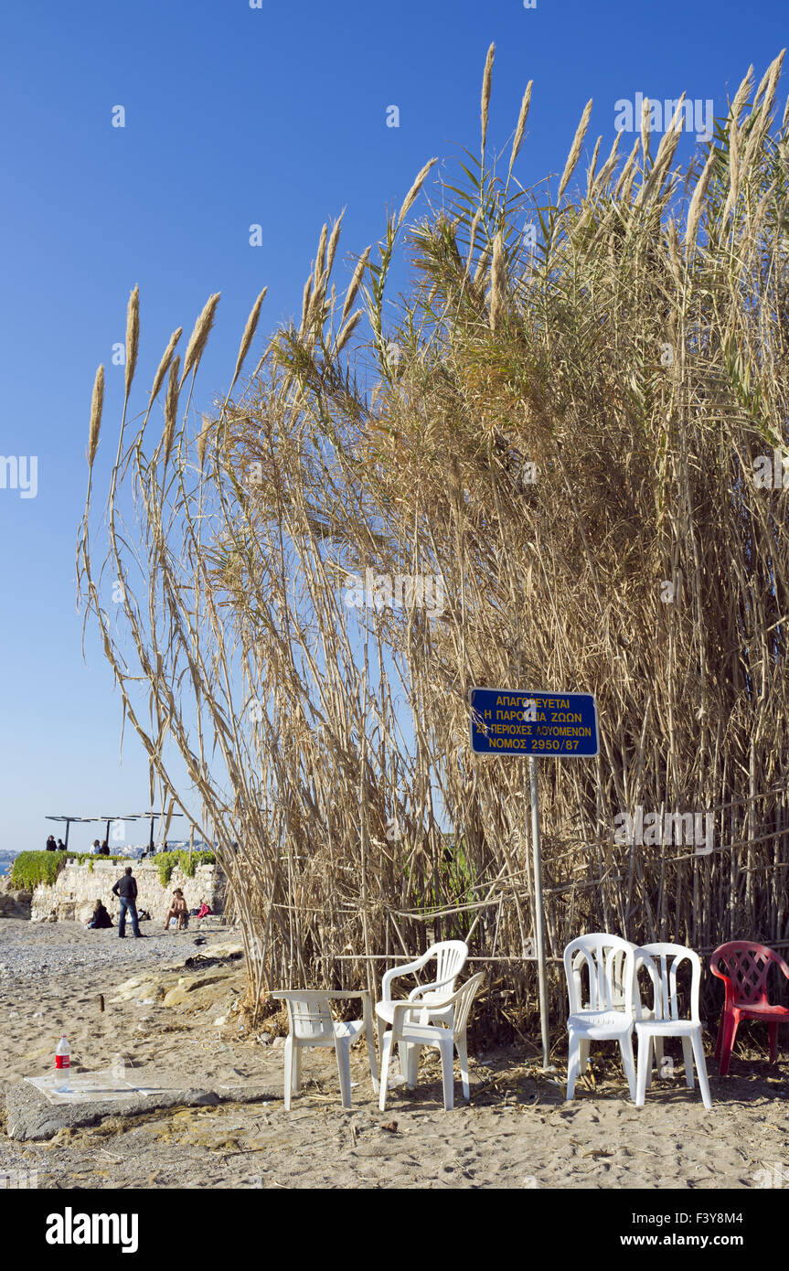 Sulla spiaggia, Paleo Faliro, Atene, Grecia Foto Stock
