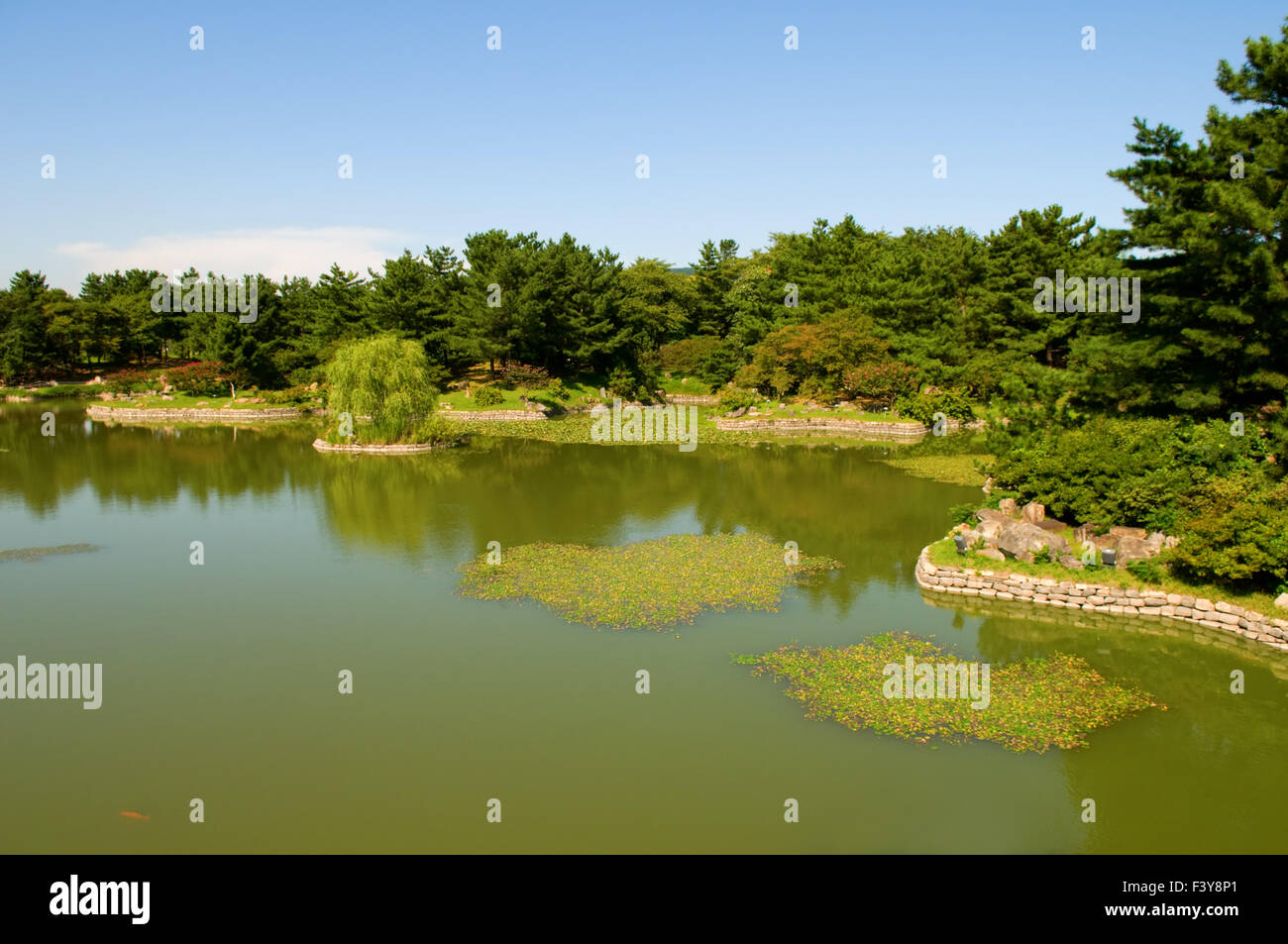 Giardino con alberi e stagno Foto Stock