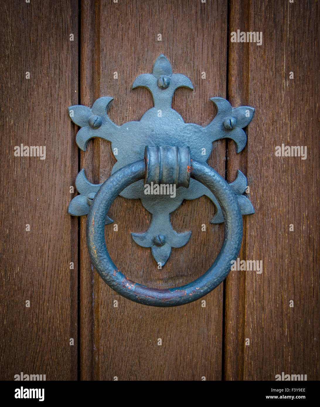 Ornato porta della chiesa respingente Foto Stock