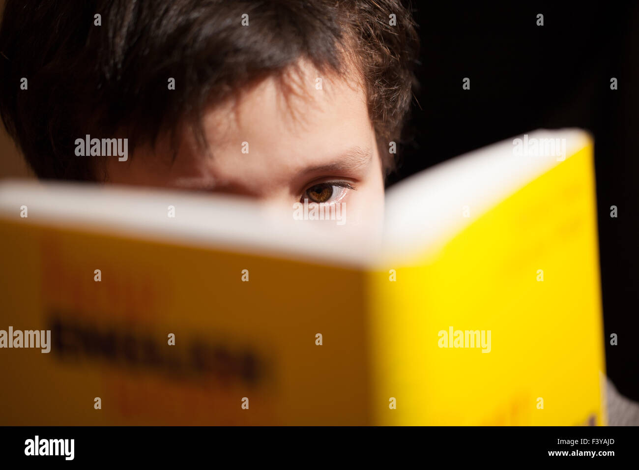 Ragazzo giovane concentrando sulla lettura di un libro Foto Stock