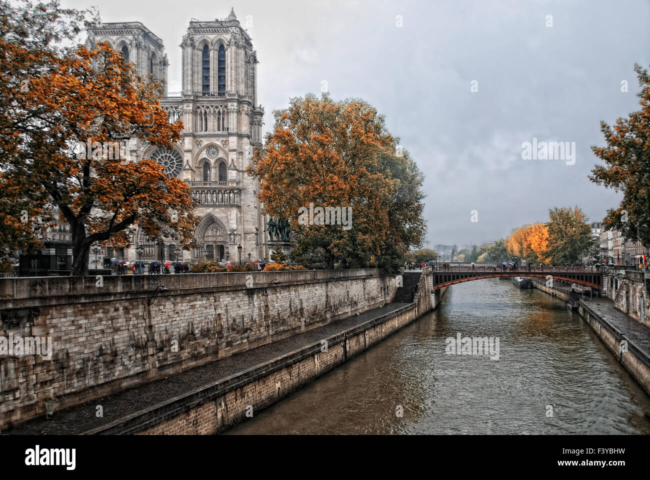 Giorno di pioggia a Parigi II Foto Stock