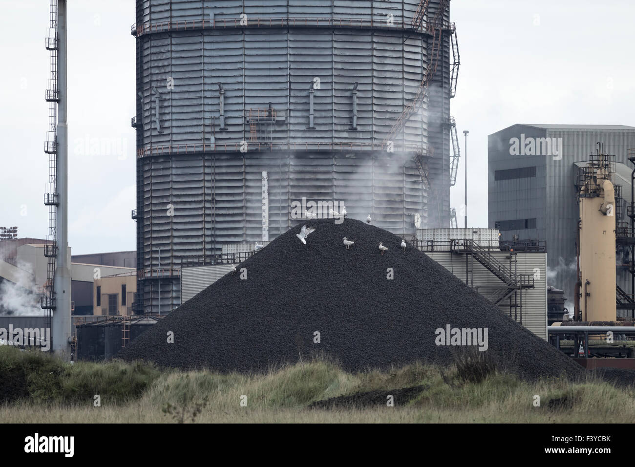 Redcar, Regno Unito. 13 ottobre, 2015. Lunedì 12 Ottobre 2015, il ricevitore ufficiale, Ken Beasley, detto: "SSI è stata posta in liquidazione con debiti considerevoli e non ha avuto a disposizione dei fondi per acquistare il carbone necessario per mantenere i forni da coke operativo. Mi hanno assicurato il funzionamento continuo dei forni mentre ho avuto a che fare con dei problemi di salute e sicurezza ed ha esaminato se vi fossero valide offerte per forni. Non vi è alcuna prospettiva realistica di un acquirente di essere rilevato e la priorità ora è quello di chiudere i forni in modo sicuro. Nella foto: martedì 13 ottobre 2015 Credit: Alan Dawson News/Alamy vivere N Foto Stock