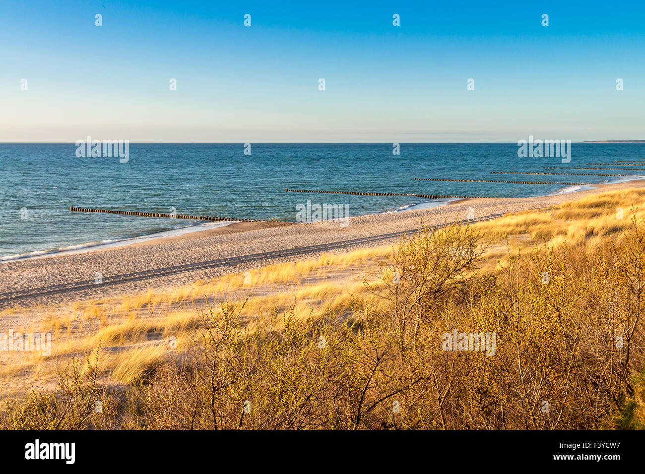 Mar Baltico Beach Foto Stock