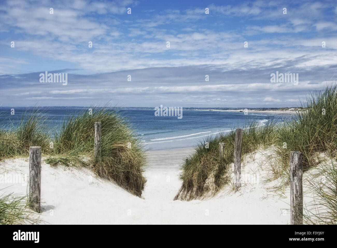 Dune all'oceano atlantico Foto Stock