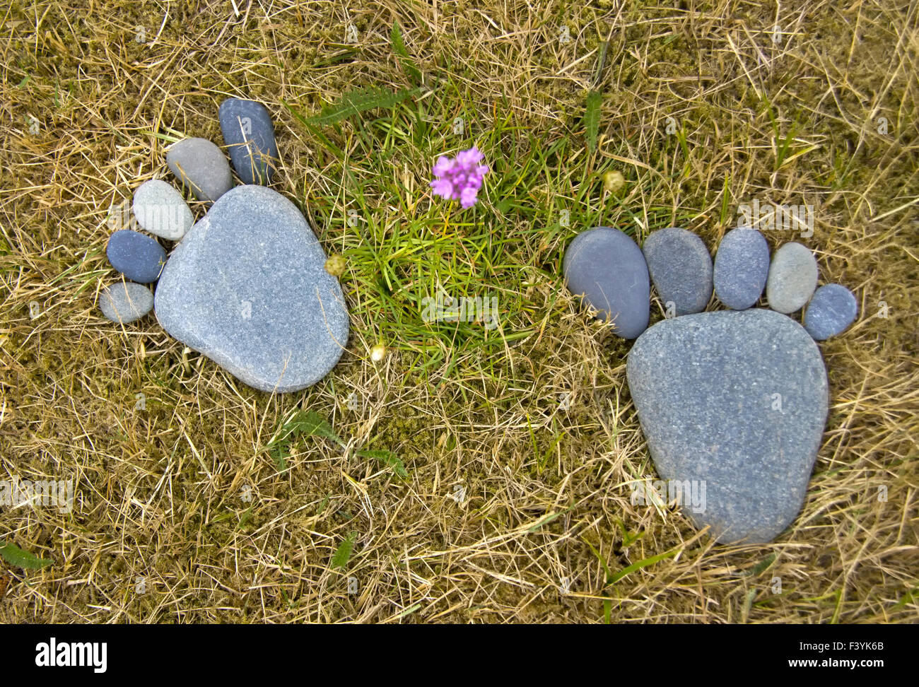 Piedi di pietra Foto Stock