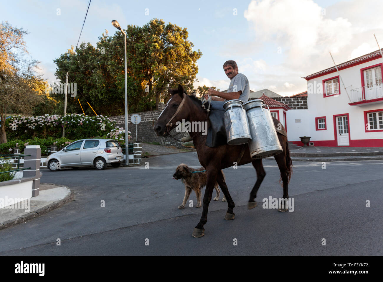 Uomo a cavallo che trasportano contenitori di latte in Sao Miguel, Azzorre, Portogallo Foto Stock