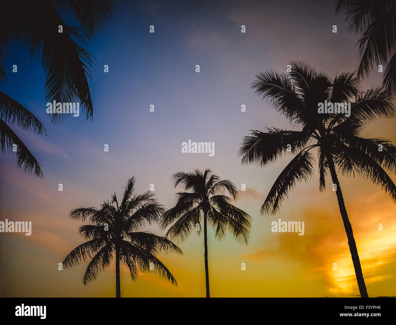 Retrò tramonto Hawaiano Foto Stock