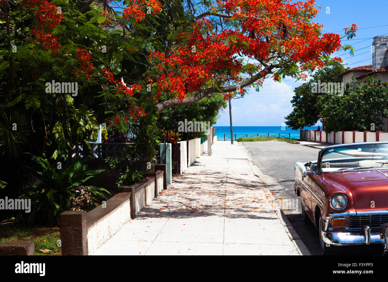 Cuba classico auto 7 Foto Stock