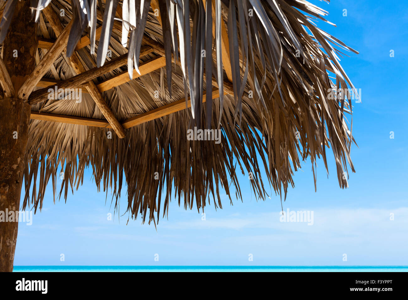 Cuba Palm ombrellone in spiaggia Foto Stock