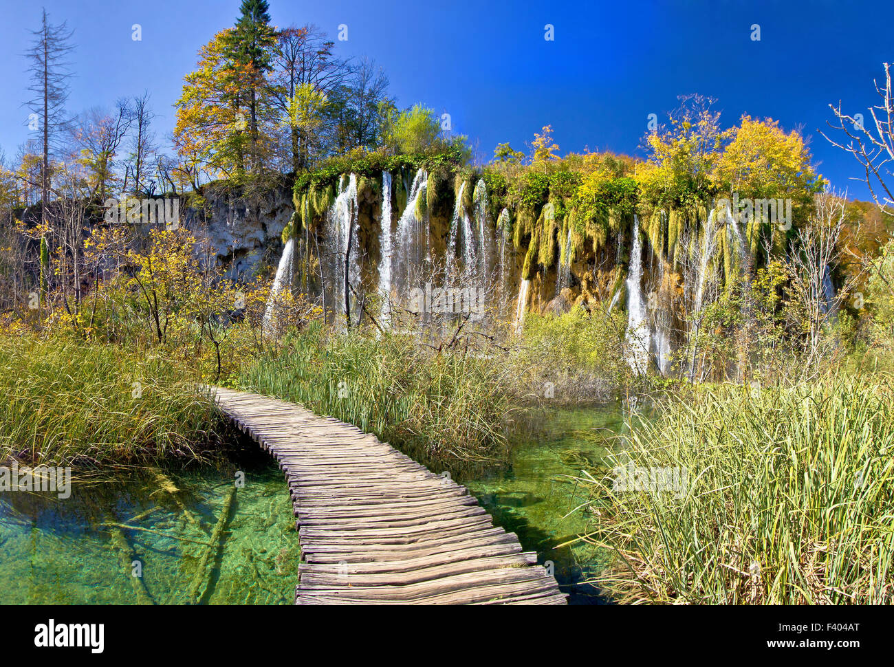 Passeggiata attraverso il paradiso in laghi di Plitvice Foto Stock