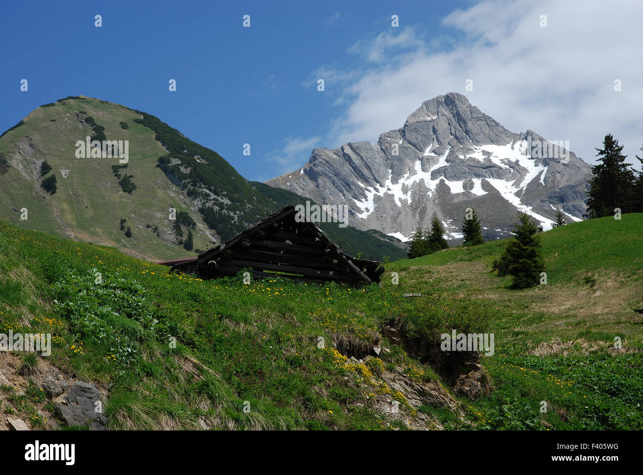 Alpi, allgaeuer Alpi, Foto Stock